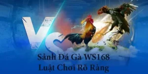 Khám Phá Cách Chơi Đá Gà WS168 Tại Daga Chuyên Nghiệp Nhất 2025