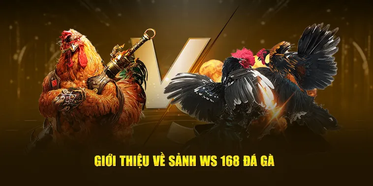 Khám Phá Cách Chơi Đá Gà WS168 Tại Daga Chuyên Nghiệp Nhất 2025 2 Khám Phá Cách Chơi Đá Gà WS168 Tại Daga Chuyên Nghiệp Nhất 2025