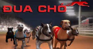 Hướng Dẫn Chinh Phục Game Nhanh Đua Chó Tại Daga Dễ Dàng Nhất