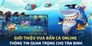 Hướng Dẫn Chơi Vua Bắn Cá Tại Daga Để Trở Thành Bậc Thầy